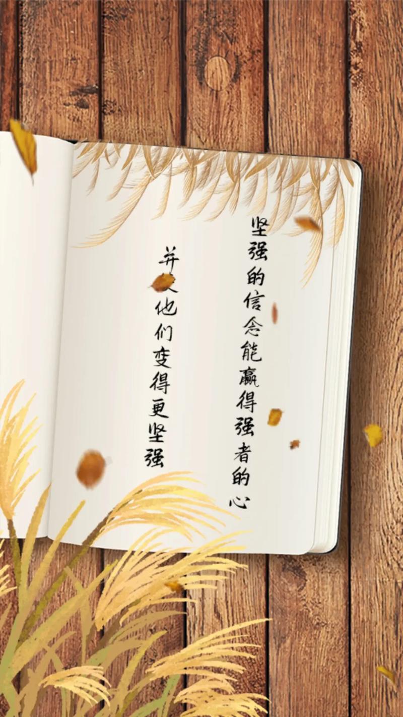 平淡才好  第1张