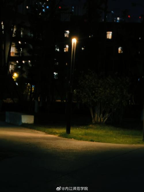 最后一个夜晚  第1张