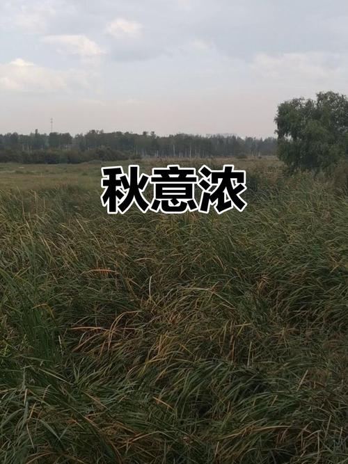 那年，秋风萧瑟  第1张