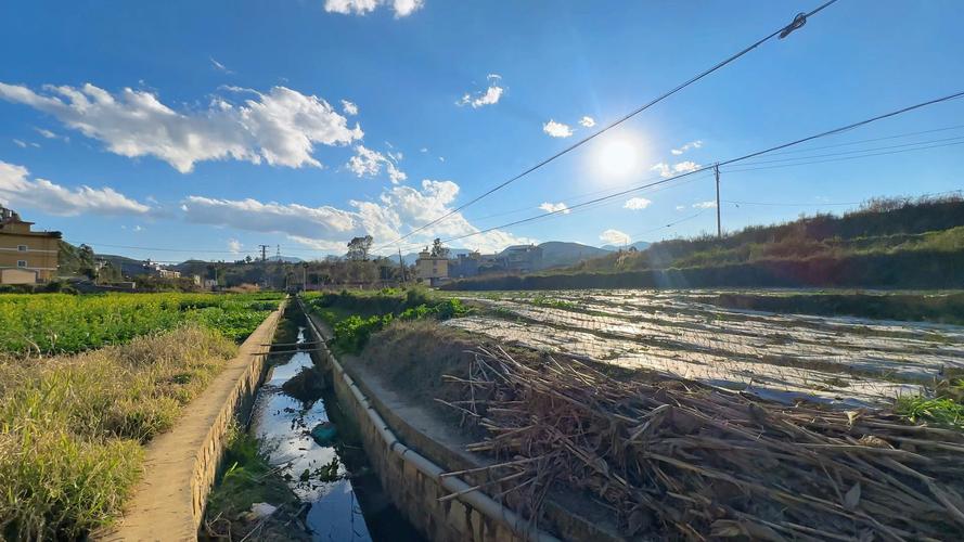 记忆夏天  第1张