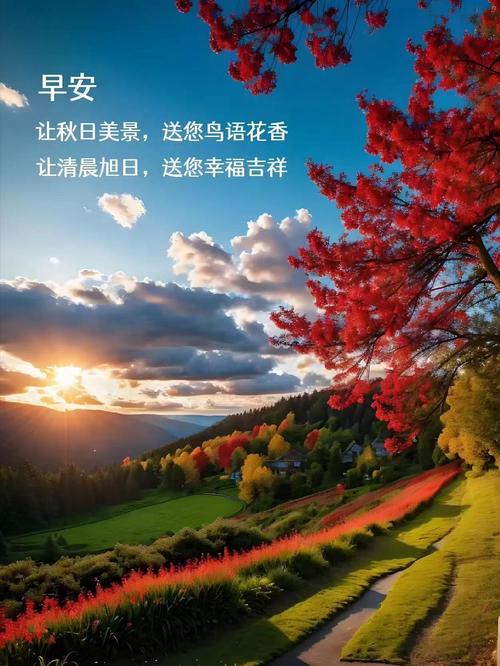 人生素淡绵长  第1张