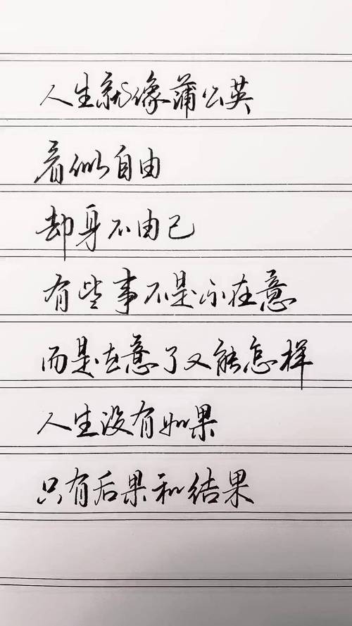 励志文章感悟人生，励志文章，感悟人生的力量与智慧  第1张