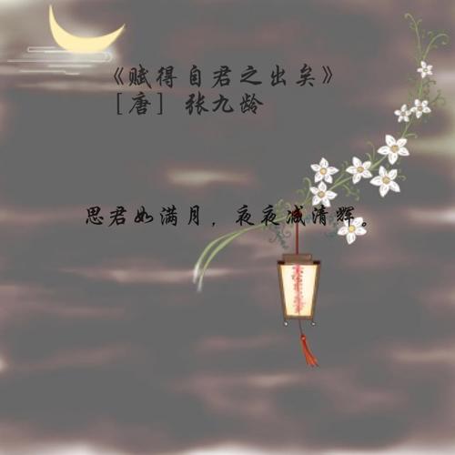 此夜思君  第1张