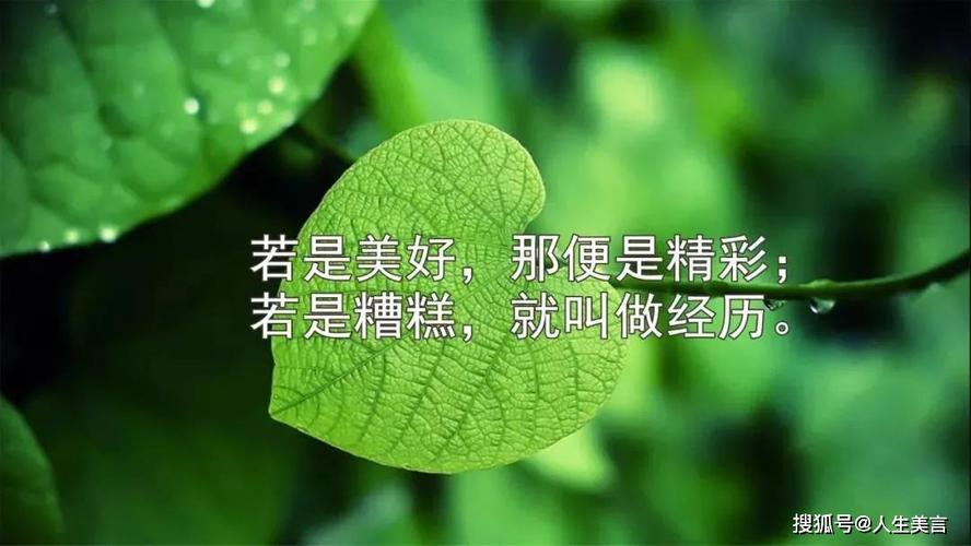 世界十大精辟的名言,世界十大经典精辟名言 第1张 世界十大精辟的名言,世界十大经典精辟名言 第1张