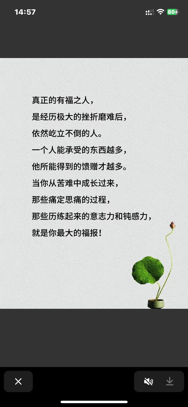 经典语录励志人生感悟短句,经典励志人生感悟短句,砥砺前行,感悟经典语录的力量 第1张 经典语录励志人生感悟短句,经典励志人生感悟短句,砥砺前行,感悟经典语录的力量 第1张