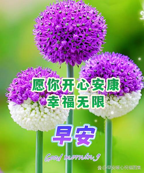 道一声珍重  第1张