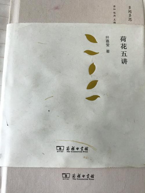 -叶——人生之初 第1张 -叶——人生之初 第1张