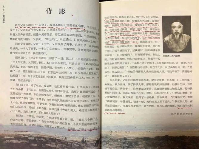 那在我记忆里，留下的背影（4）  第1张