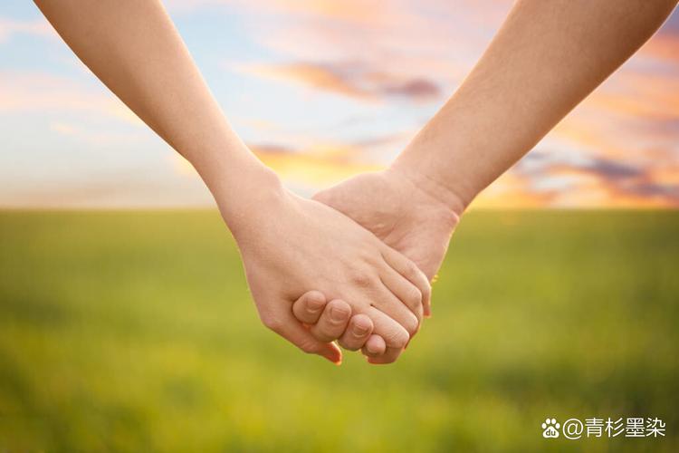 握在手中的幸福  第1张