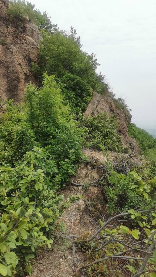 远去的阳山洼  第1张