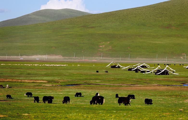 七月高原 第1张 七月高原 第1张