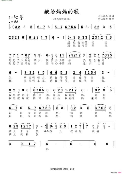 献给母亲的歌  第1张