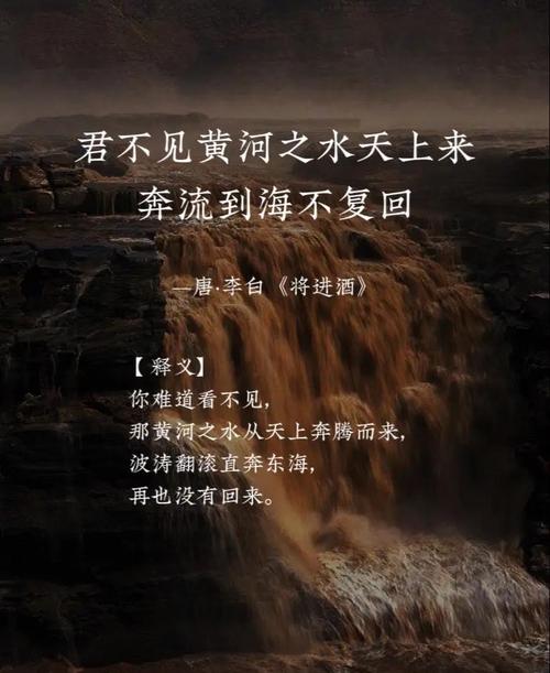 黄河滩，我遥远的故乡  第1张