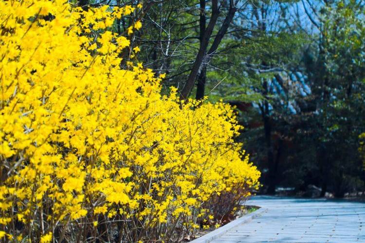 清明踏青  第1张