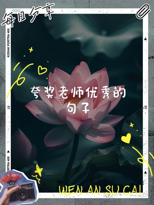 夸老师优秀又负责的话，赞誉卓越教师，优秀且尽职的引路人  第1张