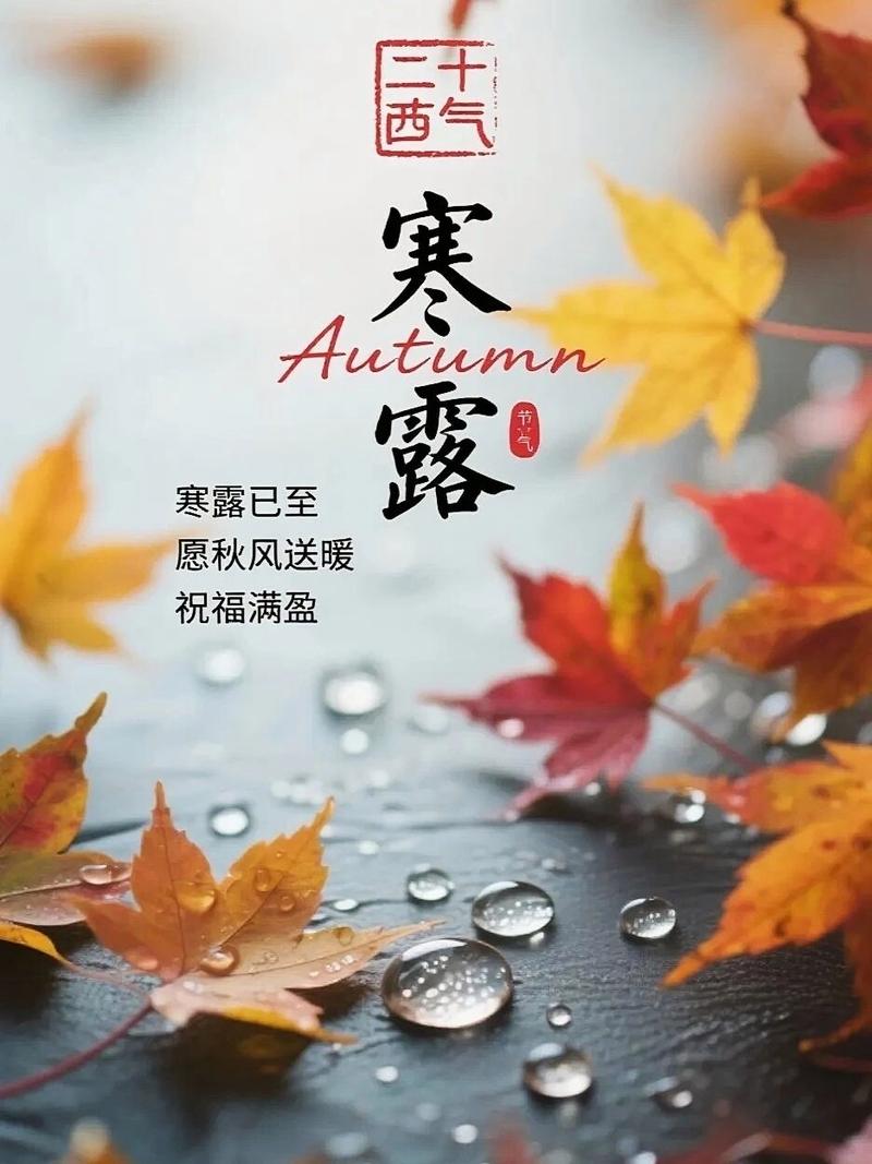 寒露不露寒  第1张