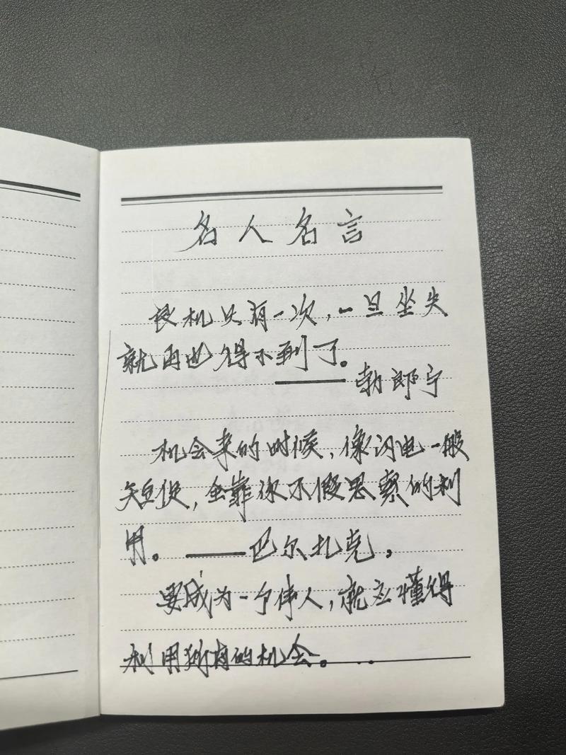 名人名言录，名人名言录，智慧与启示的汇聚  第1张