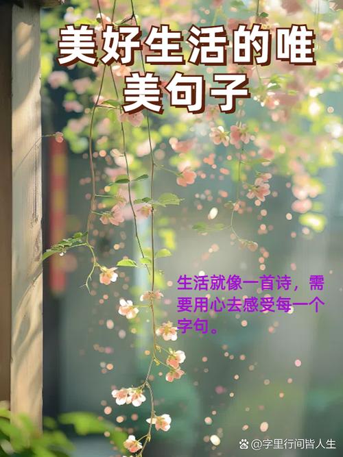 生活简单精致句子,生活的简单与精致之美 第1张 生活简单精致句子,生活的简单与精致之美 第1张