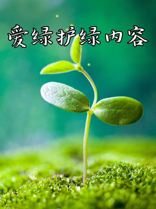 绿色希望  第1张