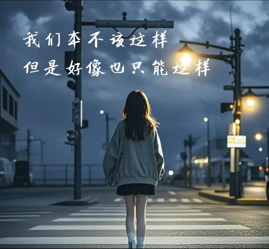 我们不该这样的  第1张