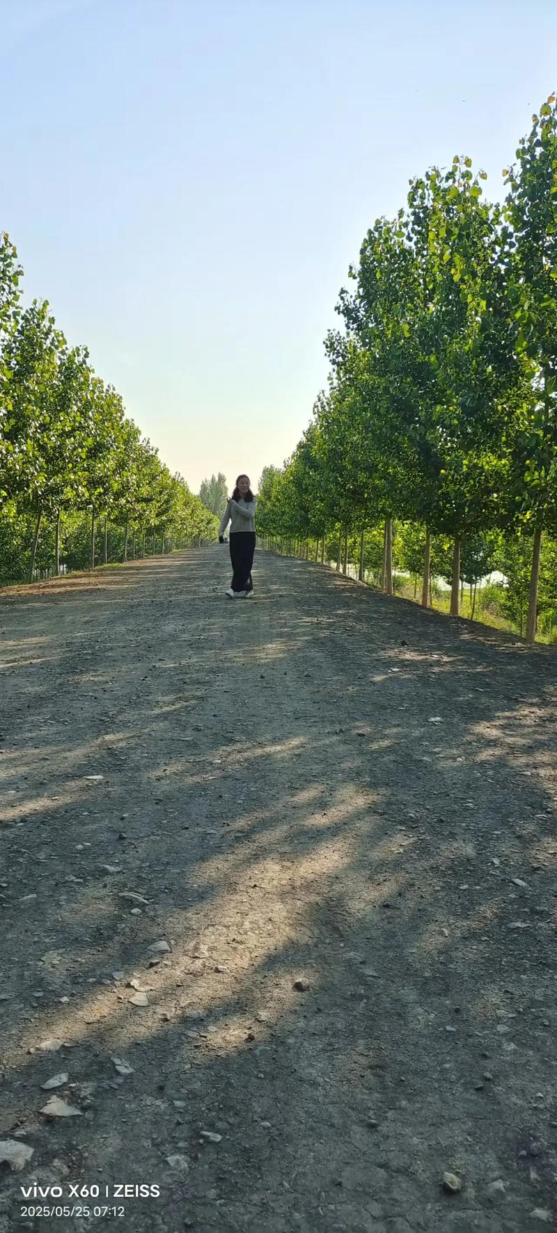 我的故乡在何方  第1张