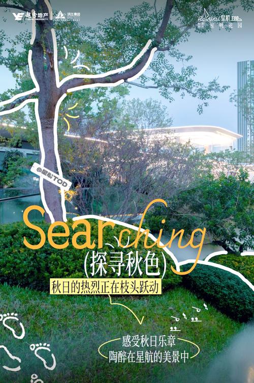 时光的邂逅  第1张