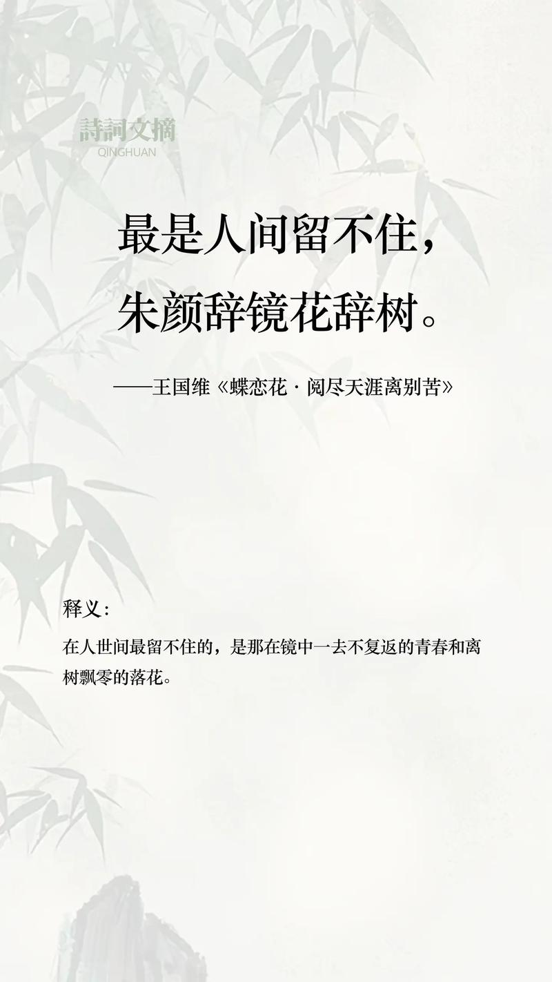 寂寞花也愁  第1张