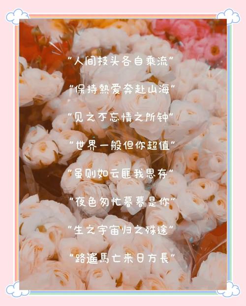 八字短句干净治愈,治愈心灵的八字短句 第1张 八字短句干净治愈,治愈心灵的八字短句 第1张