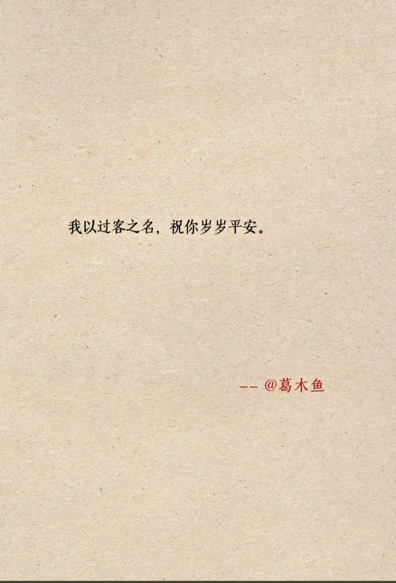 你是我生命中的过客  第1张