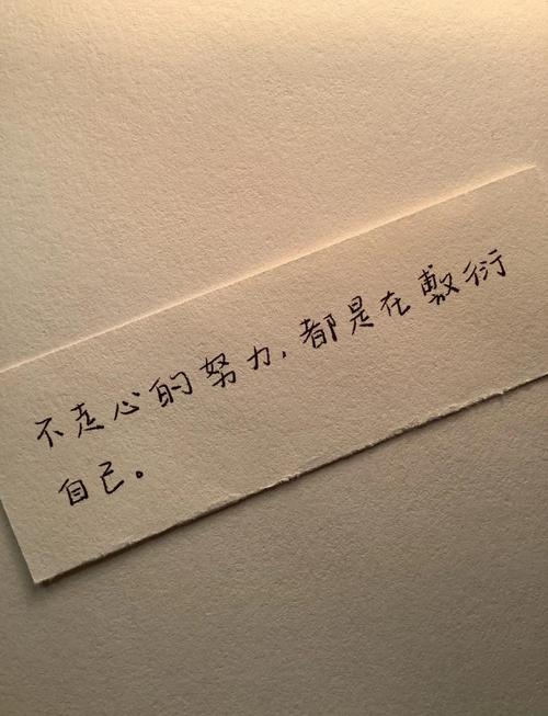 励志经典语录句子大全，励志经典语录句子精选集  第1张