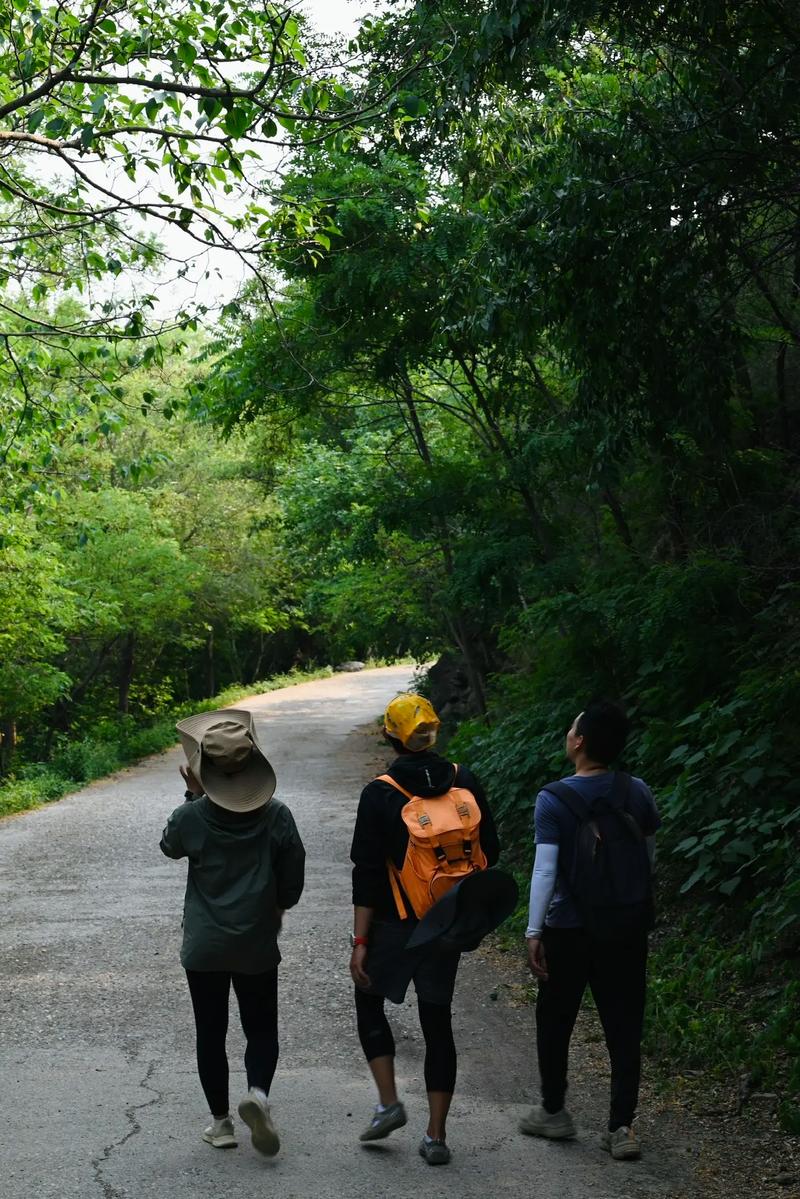 徒步去旅行  第1张