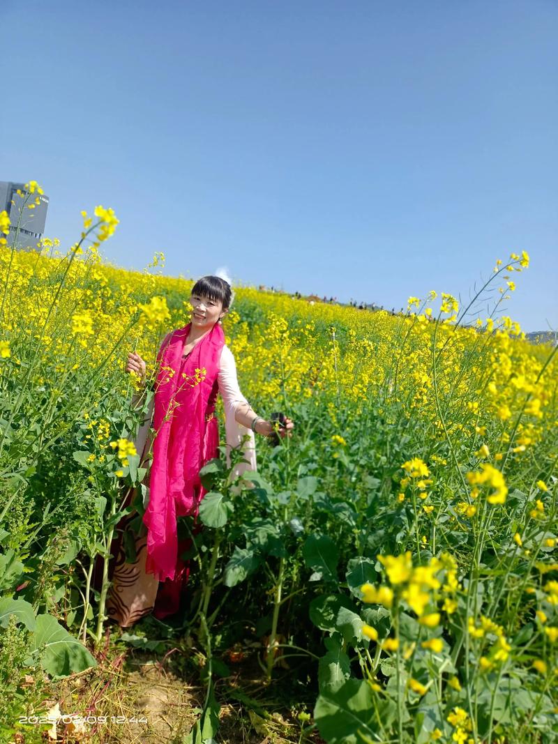 相约春天  第1张