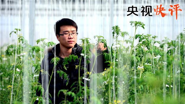 极目快评｜浪潮集团花式“加班标语”让人惊呆，加班真好？违法就不太好了吧  第1张