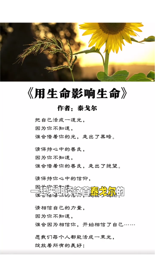 《梦想》泰戈尔,泰戈尔的梦想 第1张 《梦想》泰戈尔,泰戈尔的梦想 第1张