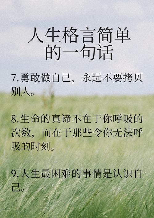 关于人生的名言，人生的智慧箴言  第1张