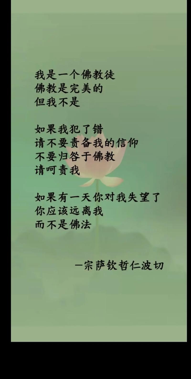 我不是圣人，我不需要原谅  第1张