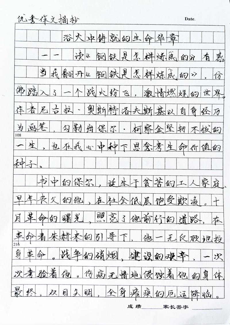 钢铁是怎样炼成的读后感，钢铁是怎样炼成的的读后感，坚韧与成长的启示  第1张