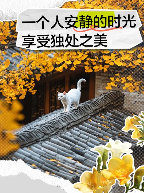 生活感悟文案｜愿你生活的每一个角落，都有细微安静的美~  第1张