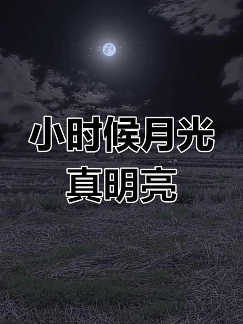 回忆的月光 第1张 回忆的月光 第1张