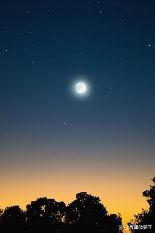 错过,仰望的美好 第1张 错过,仰望的美好 第1张