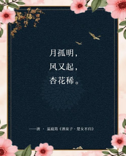 孤寂的月诗词集二十二首  第1张