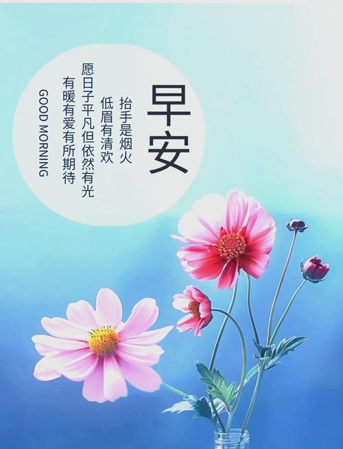 早安心语每日一语,早安心语,每日一语启程新的一天 第1张 早安心语每日一语,早安心语,每日一语启程新的一天 第1张