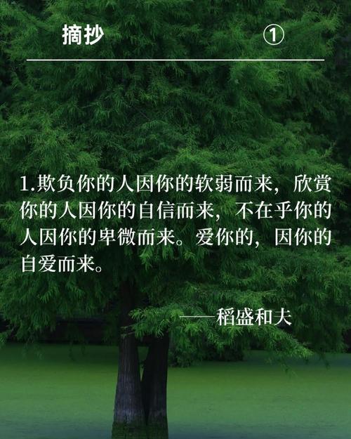 名人名言语录摘抄，名人名言精选语录摘抄  第1张
