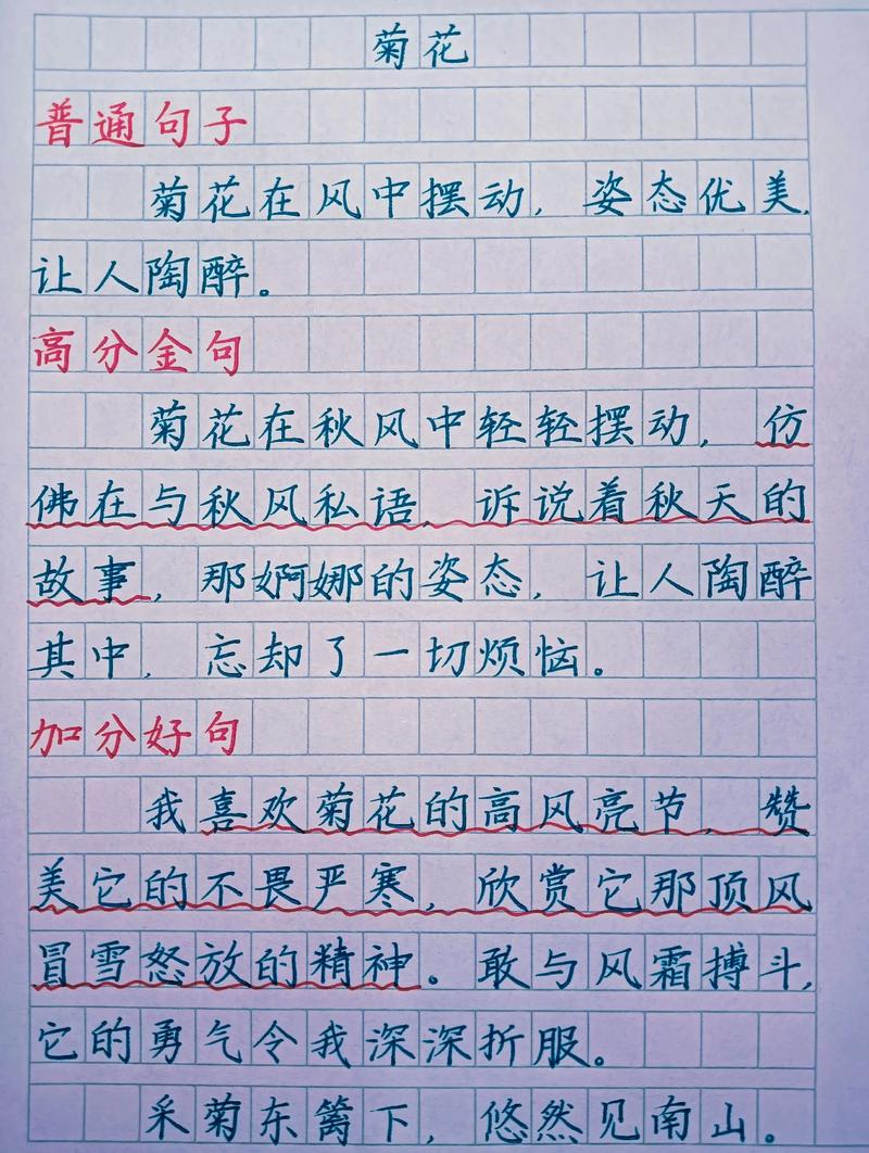 好句好段摘抄大全优美，优美好句好段摘抄大全  第1张