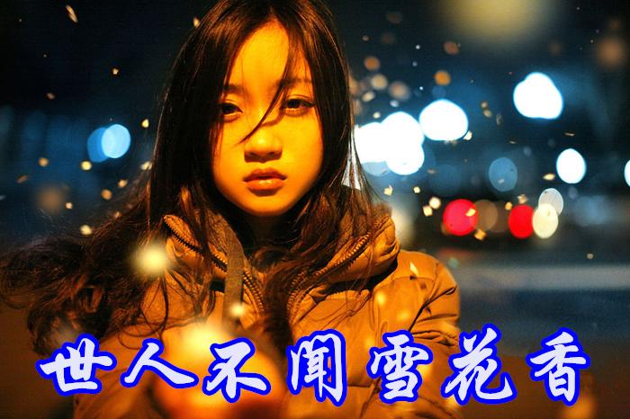 世人不闻雪花香  第1张