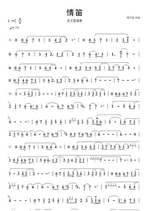 我一生的“情笛”  第1张