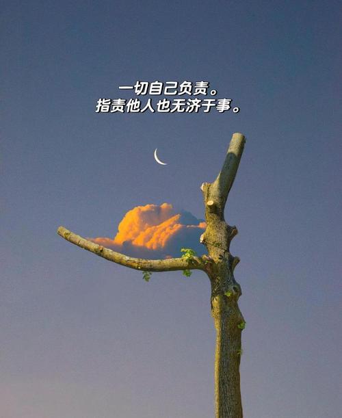 人生哲理精简短句，人生智慧简短精炼的短句  第1张