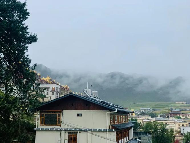 冬春间的追梦  第1张