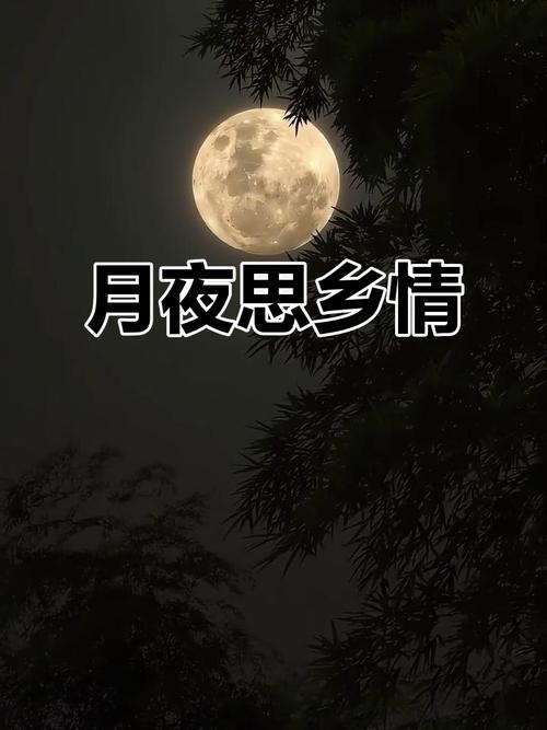 月夜思绪翻飞  第1张