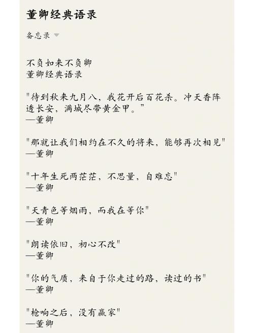 董卿励志经典语录  第1张